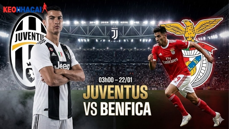 nhan-dinh-bong-da-juventus-vs-benfica-03h00-ngay-22-1 nhan-dinh-bong-da-juventus-vs-benfica-03h00-ngay-22-1